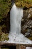 IMG_0259_v1